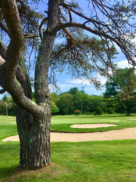coventry-pines-public-golf-course