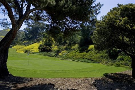 shorecliffs-golf-club