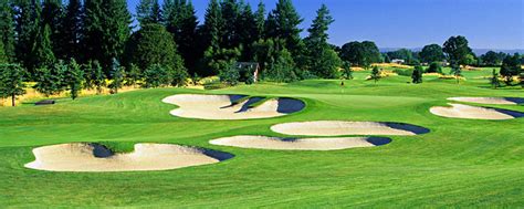 south-course-at-reserve-vineyards-golf-club