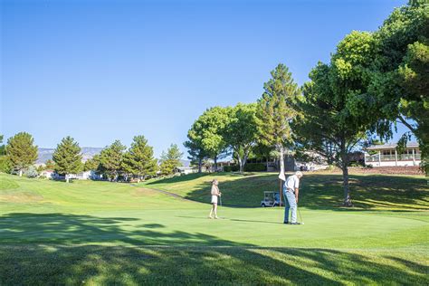 pine-shadows-golf-center